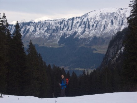 Oberallgäu: Obere Gatter Alpe (Walzerschanze)