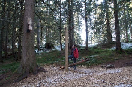 Oberallgu: Sllereck-Naturlehrpfad (Oberstdorf)