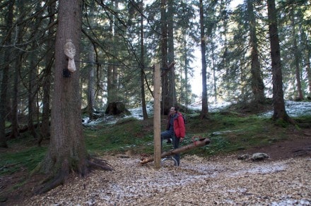 Oberallgäu: Söllereck-Naturlehrpfad (Oberstdorf)