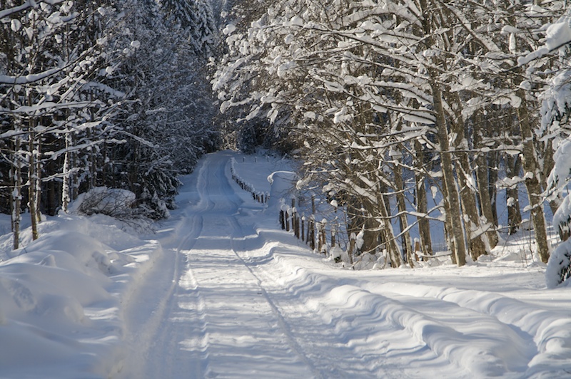 Wandertour zur Höllritzer Alpe und Mittelberg-Alpe (Gunzesried - Oberallgäu / 2009)