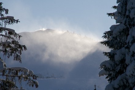 Oberallgäu: Höllritzer Alpe (Gunzesried)