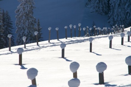 Oberallgäu: Tour (Gunzesried)