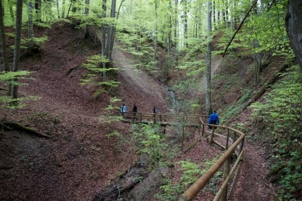 Oberallgu: Alpenvereinsweg (Kempten)
