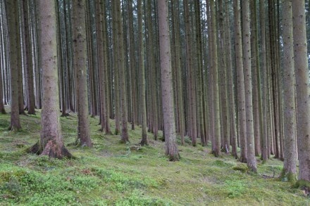 Oberallgäu: Tour (Kempten)