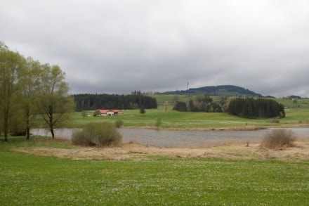 Oberallgäu: Herrenwieserweiher (Kempten)