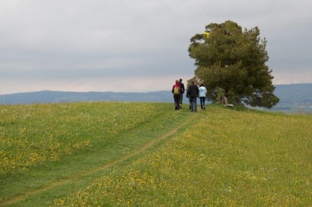 Oberallgäu:  (Kempten)