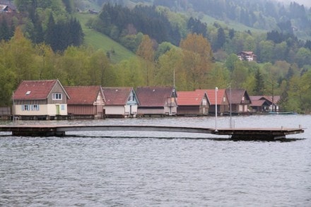 Oberallgäu: Alpsee (Immenstadt)