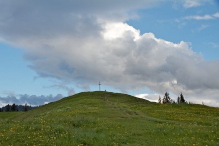 Oberallgäu: Hündlekopf (Oberstaufen)