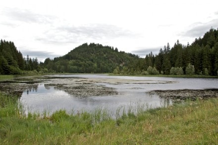 Ostallgäu: Schweinegger Weiher  (Eisenberg)