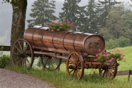Ostallgu: Schlobergalm (Eisenberg)