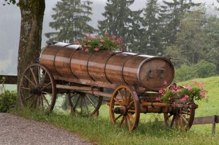 Ostallgäu: Schloßbergalm (Eisenberg)