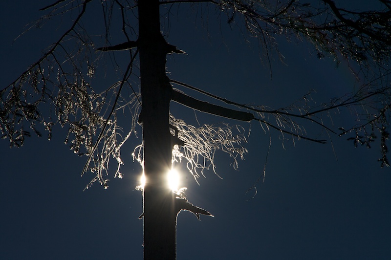 Vom Ostertal hoch auf das Rangiswanger Horn (Gunzesried - Oberallgäu / 2010)