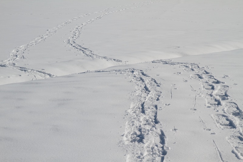 Über die Langlaufloipe von Dietmannsried nach Lauben (Dietmannsried - Oberallgäu / 2010) Über die Langlaufloipe von Dietmannsried nach Lauben (Dietmannsried - Oberallgäu / 2010)