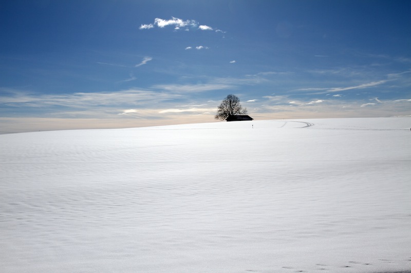 Über die Langlaufloipe von Dietmannsried nach Lauben<br />(Dietmannsried - Oberallgäu / 2010)