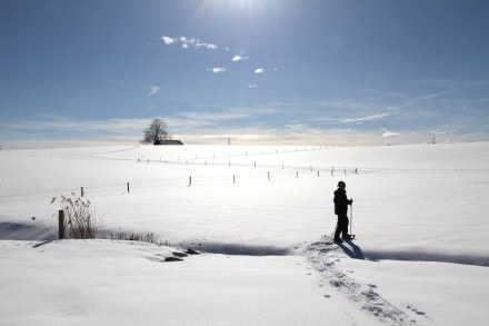 Oberallgäu: Langlaufloipe Dietmannsried (Dietmannsried)