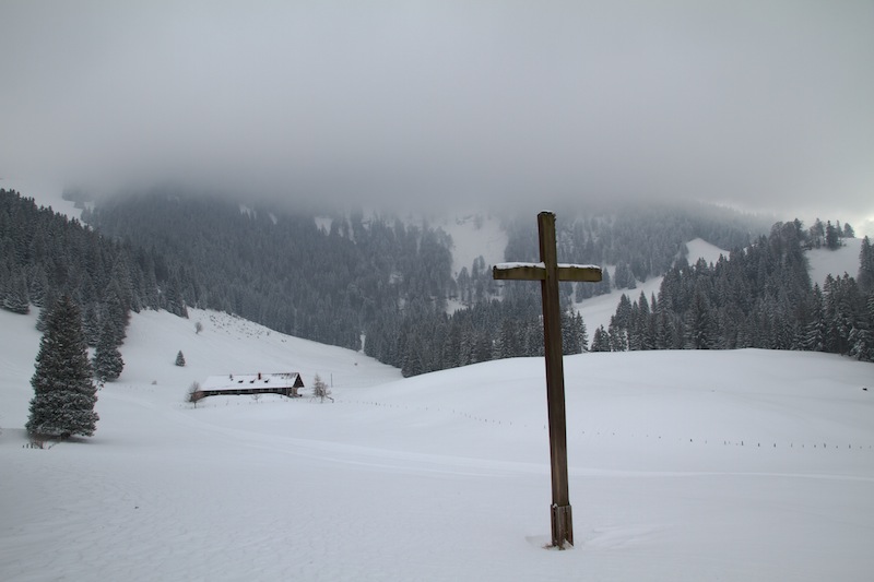 Von der Bärenfalle (Alpsee) zur Kleine Starkatsgund Alpe<br />(Immenstadt - Oberallgäu / 2010)