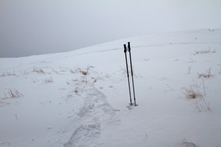Oberallgu: Kleine Starkatsgund Alpe (Immenstadt)
