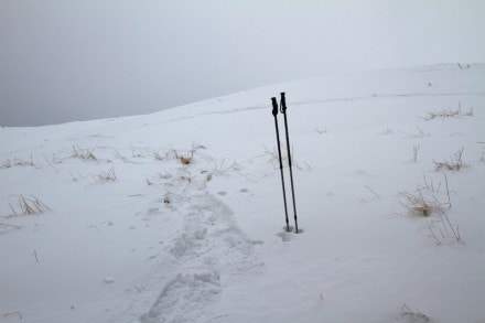 Oberallgäu: Kleine Starkatsgund Alpe (Immenstadt)