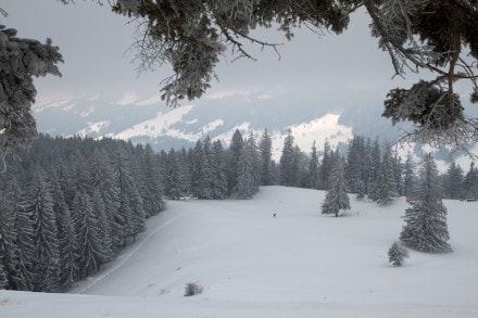 Oberallgäu: Kleine Starkatsgund Alpe (Immenstadt)
