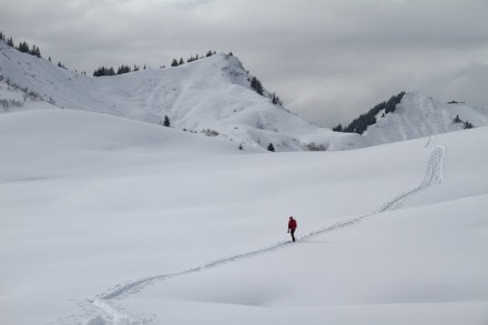 Oberallgäu: Ochsenkopf (Gunzesried)