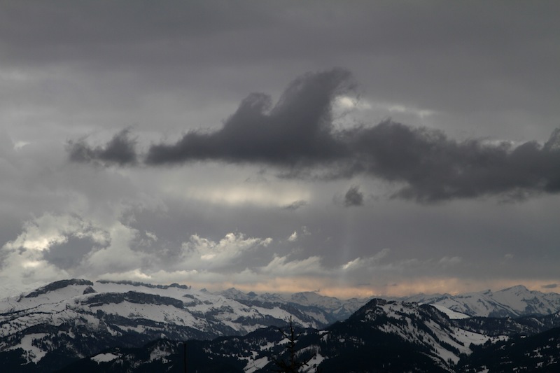 Vom Berghotel Sonnenklause zum Sonnenkopf und Heidelbeerkopf<br />(Oberstdorf - Oberallgäu / 2010)