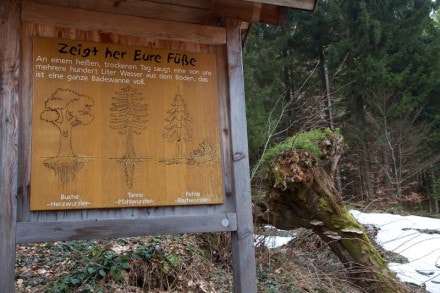 Oberallgu: Hndlekopf (Oberstaufen)