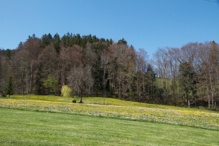 Von der Pulvermühle zum Alpenvereinsweg auf den Mariaberg