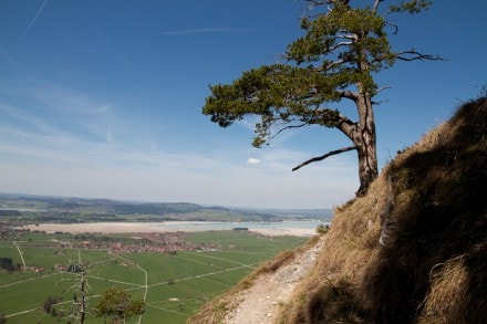 Ostallgäu: Vom Schloss Neuschwanstein zur Marienbrücke und auf den Tegelberg (Füssen)