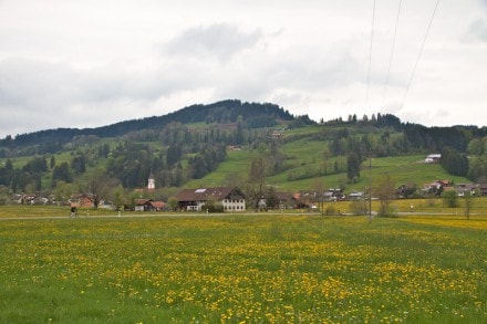 Rundwanderung um den Niedersonthofener See