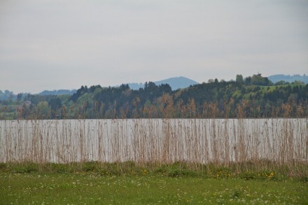 Oberallgu: Tour (Niedersonthofen)