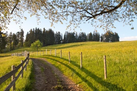 Oberallgu: Tour (Niedersonthofen)