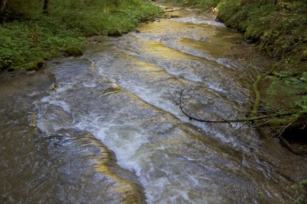 Westallgäu: Ellhofer Tobel (Ellhofen)