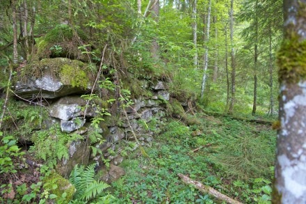 Westallgäu: Burgruine Ellhofen (Ellhofen)