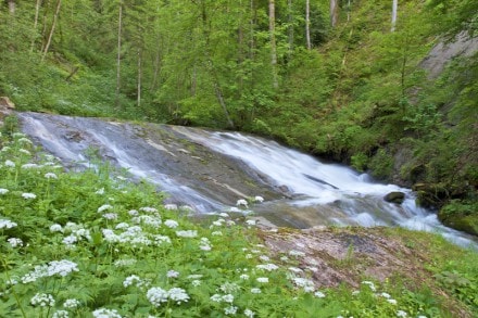 Westallgäu: An der Hammerschiedmühle (Ellhofen)