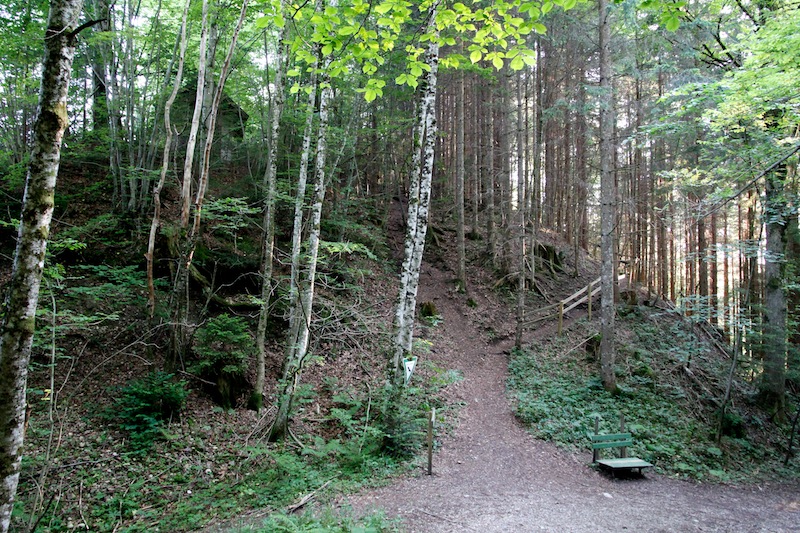 Ruine Hohenegg<br />(Maierhofen - Oberallgäu / 2010)