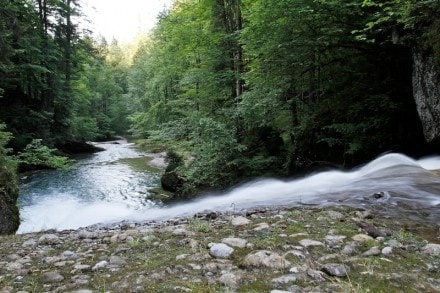 Oberallgäu: Eistobel Geotop Nr. 48 (Maierhofen)