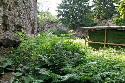 Oberallgäu: Ruine Nesselburg (Nesselwang)