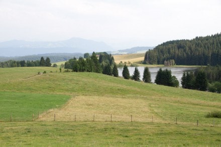 Wandertour zum Eschacher Weiher und au den Hohenkapf