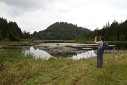 Ostallgäu: Schweinegger Weiher (Füssen)