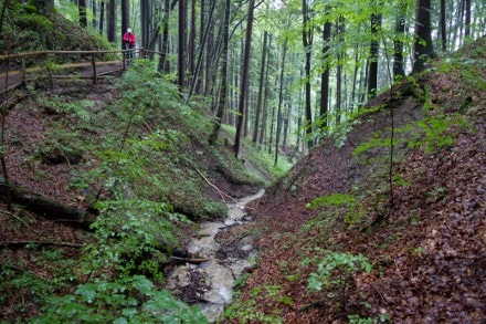 Oberallgäu: Alpenvereinsweg (Kempten)