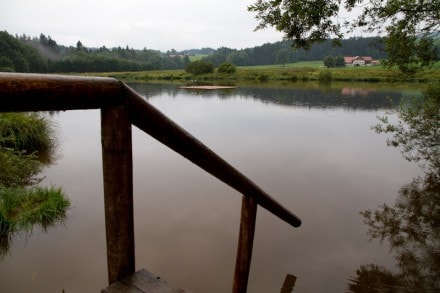 Oberallgäu: Herrenwieser Weiher (Kempten)