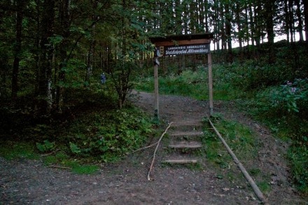 Oberallgu: Waldlehrpfad Altrauchburg (Wengen)