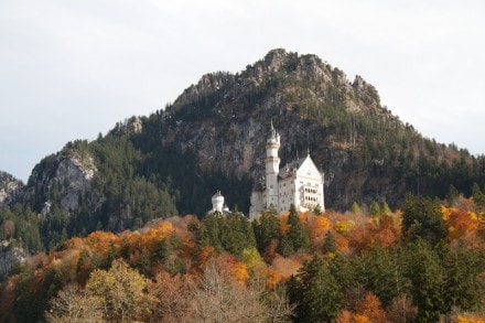 Ostallgäu: Schloss Neuschwanstein (Füssen)