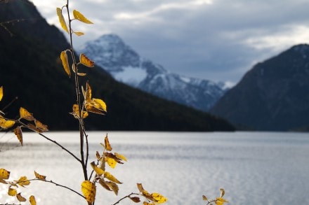 Tirol: Rundtour um den Plansee und zum Heitwanger See (Reutte)