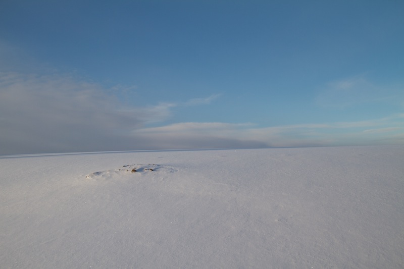 Rundwanderung in Wiggensbach nach Westenried (Wiggensbach - Oberallgäu / 2010)