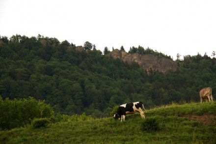 Oberallgäu: Tour (Rottach)