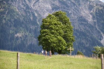 In Hinterstein auf die Willers Alpe