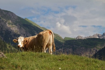 Oberallgäu:  (Hinterstein)