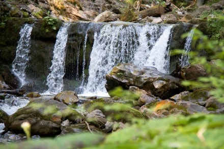 Über den Reichenbachtobel zum Gaisalpsee