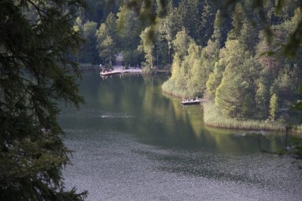 Ostallgäu: Schwansee (Füssen)